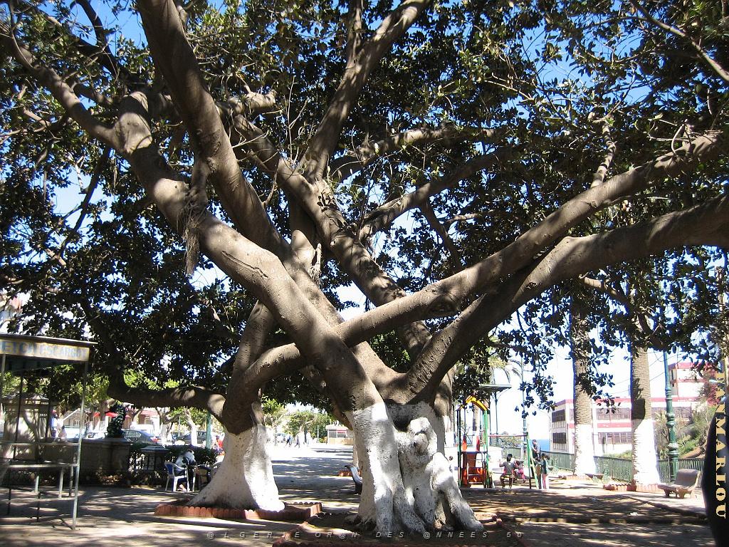 2024 02 09 ORAN - PLACE DE LA REPUBLIQUE.jpg